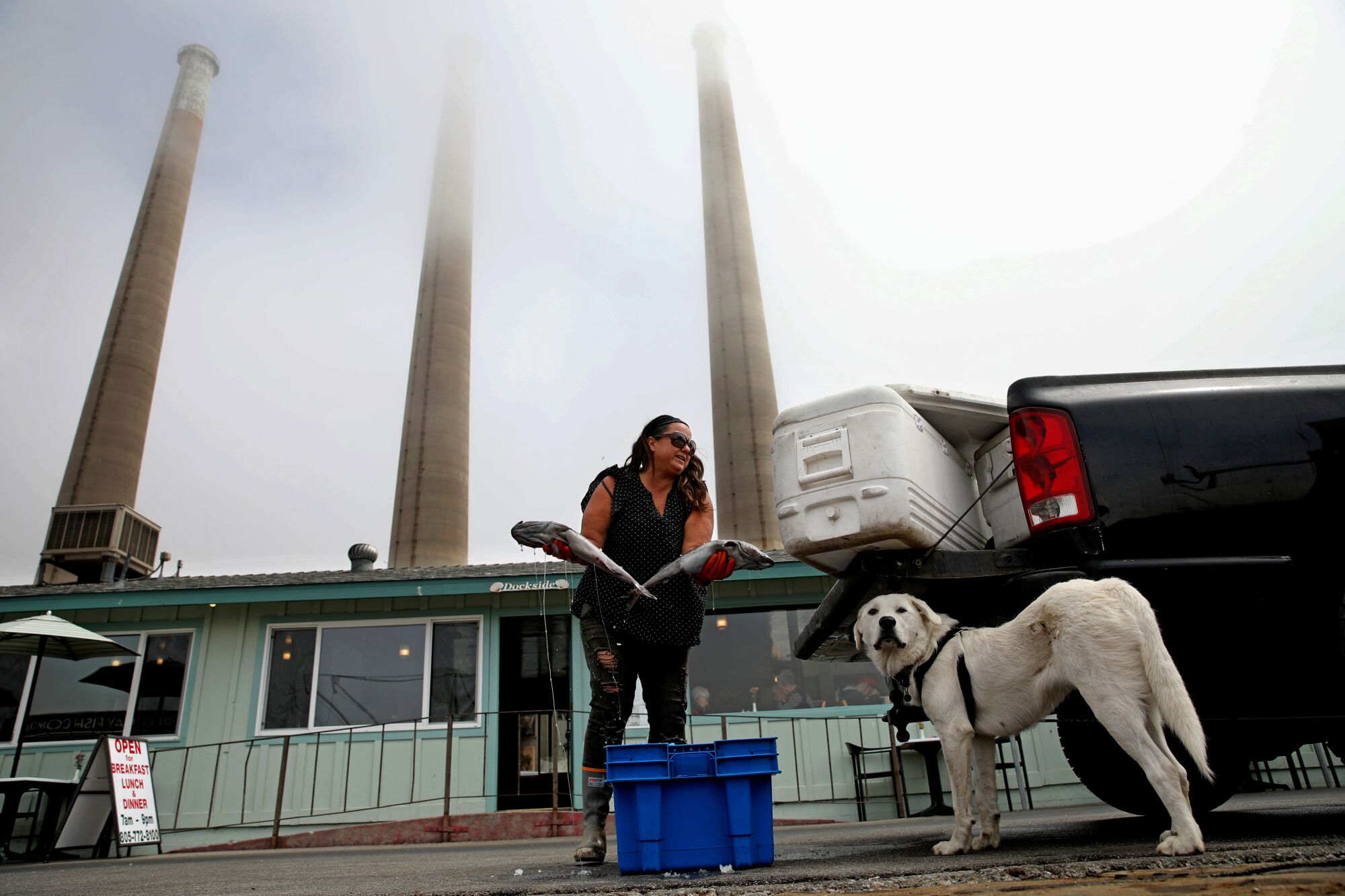 A woman with a dog loads fish into coolers in the back of a pickup truck as smokestacks tower behind her.