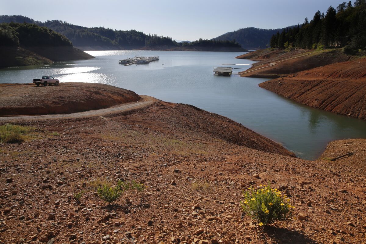 As the California drought grinds into its fourth year, the barren shoreline of Shasta Lake shows the steady drop in water level. The reservoir on the Sacramento River holds about 40% of the federal Central Valley Project's stored supply.