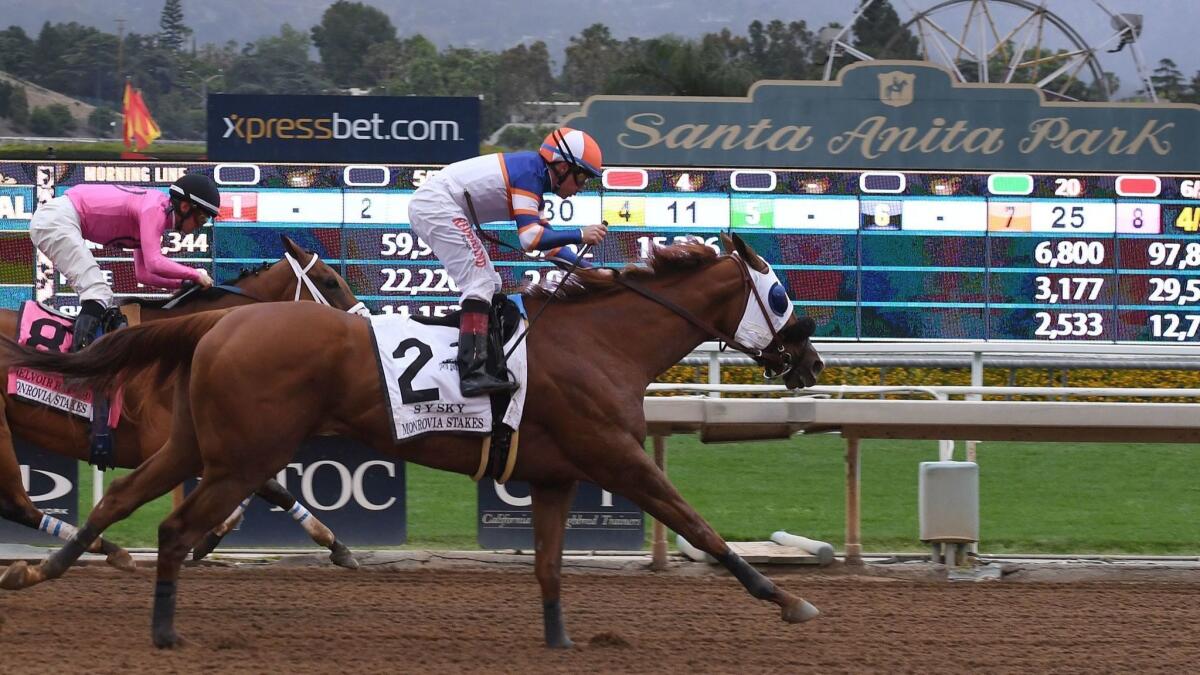 Horses race May 26 at Santa Anita Park. More than two dozen horses have died as a result of injuries at the track in Arcadia since late December.