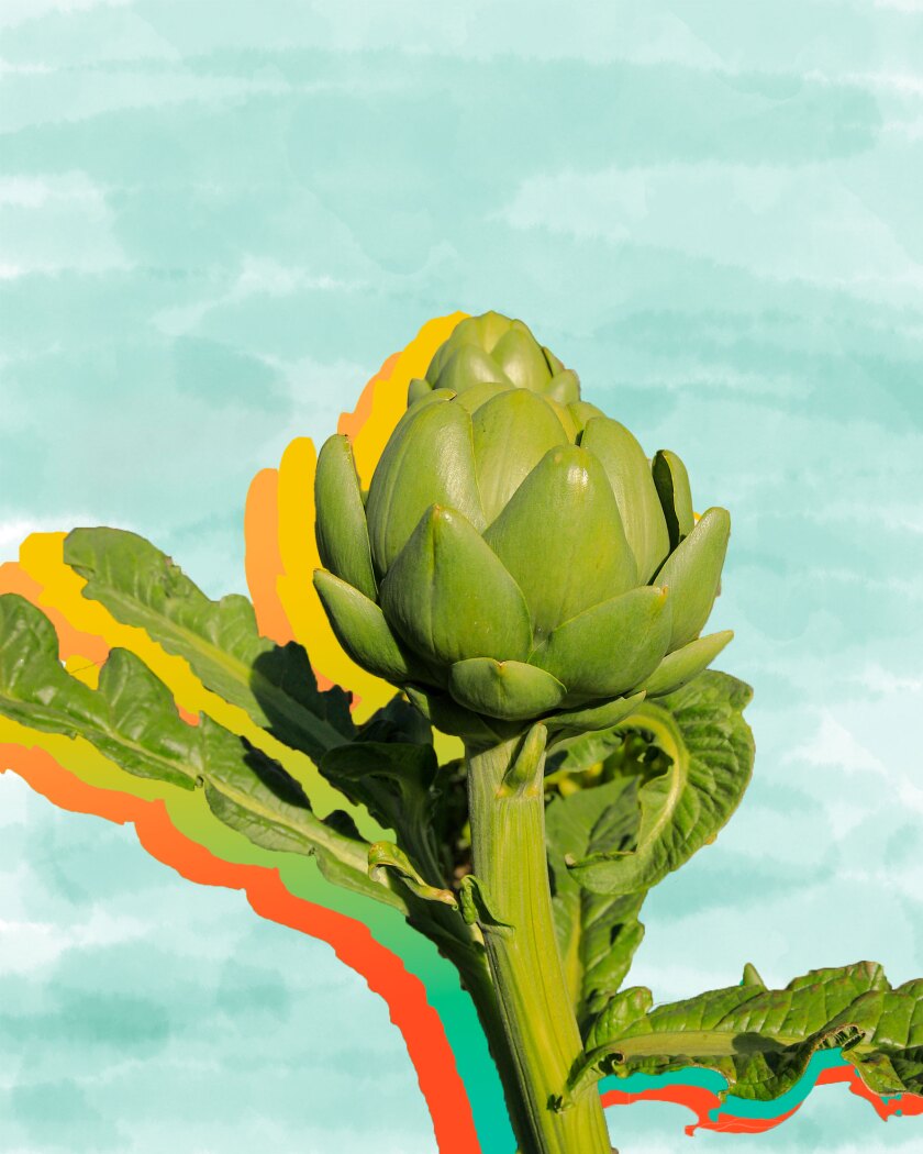 Photo illustration of an artichoke.