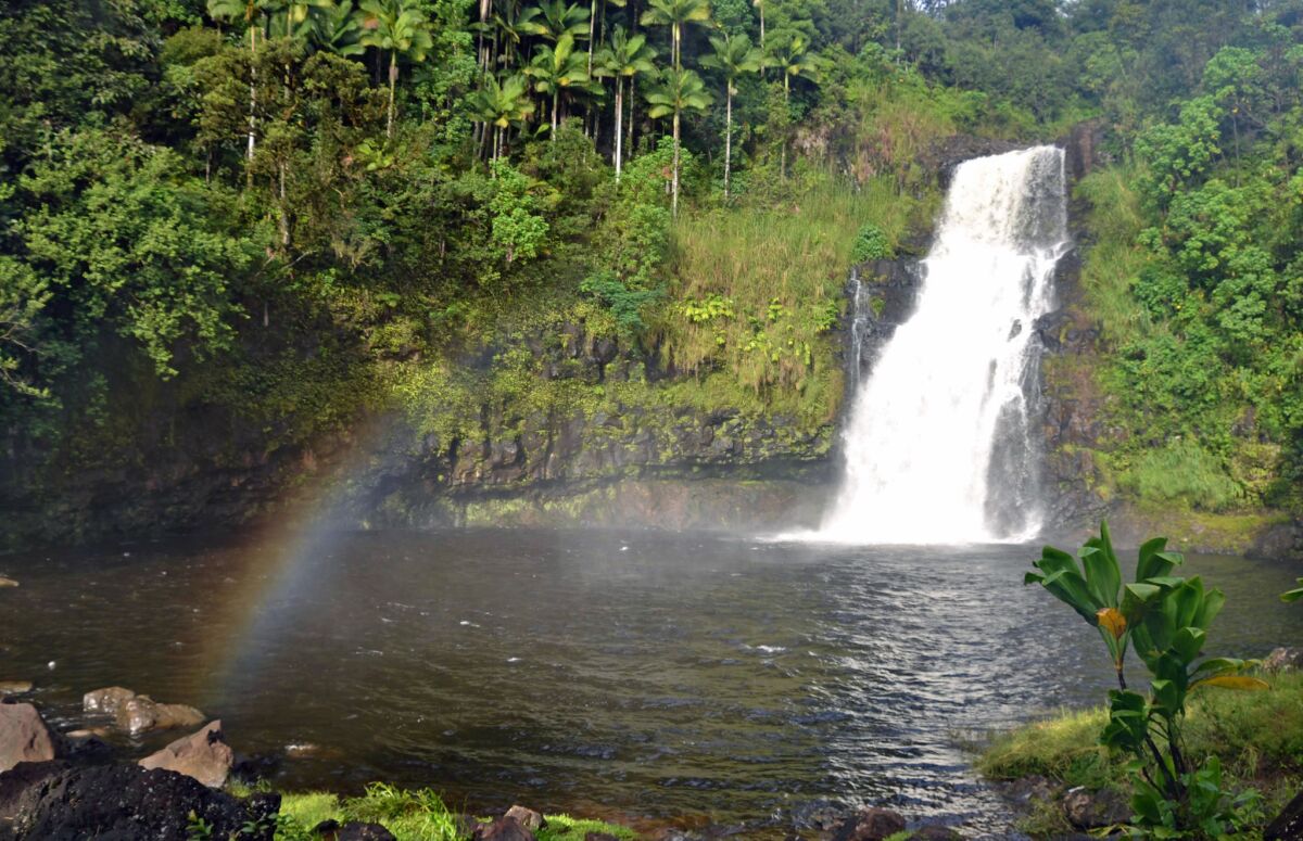 Guests may, with permission, swim in the pond at the base of Kulaniapia Falls, a 120-foot-tall cascade about three miles from Hilo on Hawaii Island.
