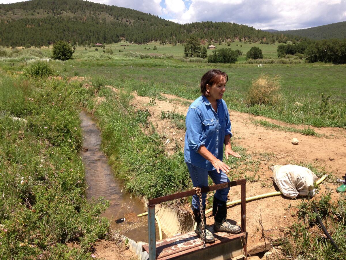 Peggy Boney stands above the gate to the acequia -- earthen irrigation canal -- on her farm in New Mexico's Mora County. Engineered to use gravity and the natural contours of the land, the acequias feed arterial channels, which spread out like capillaries in the fields.
