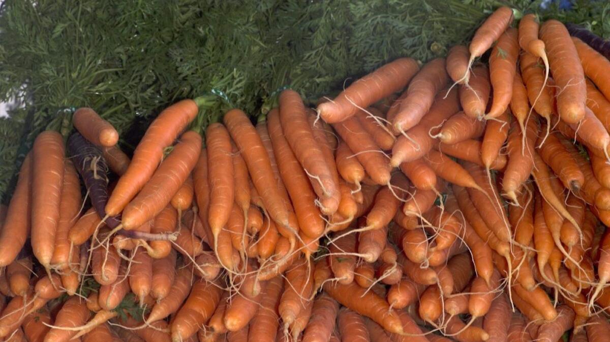 Nantes carrots at the Hollywood farmers market.