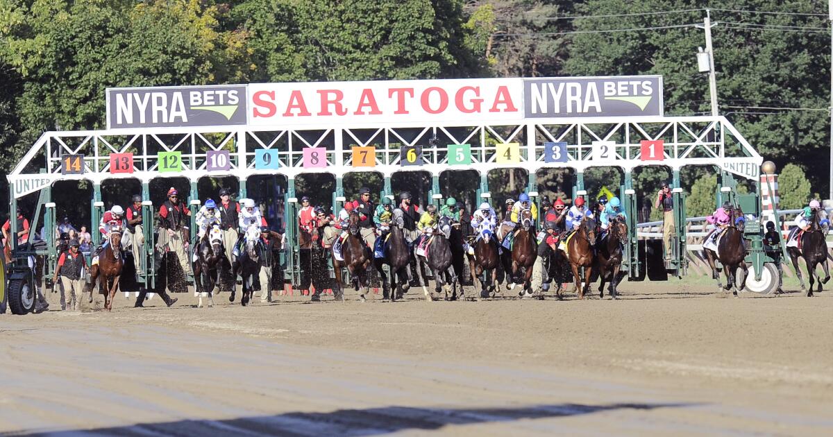 Seventh horse dies at Saratoga Race Course in less than a month Los