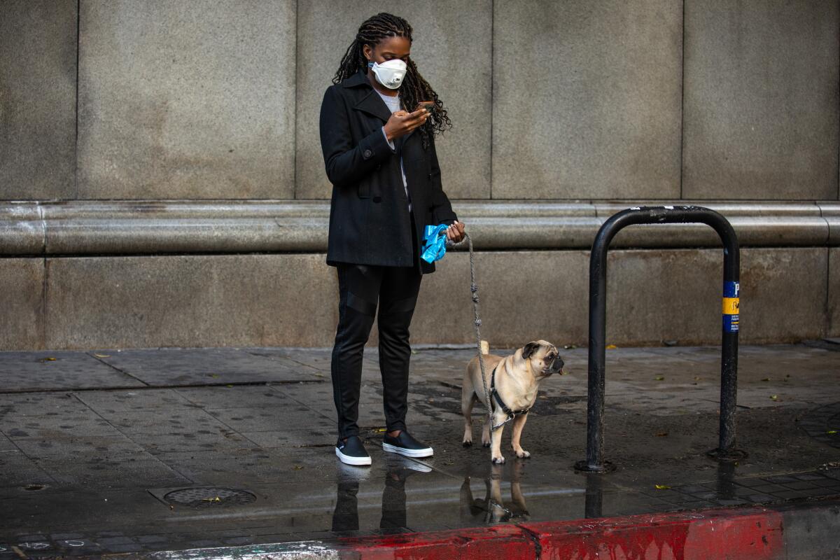 A woman wears a protective mask while walking her dog.