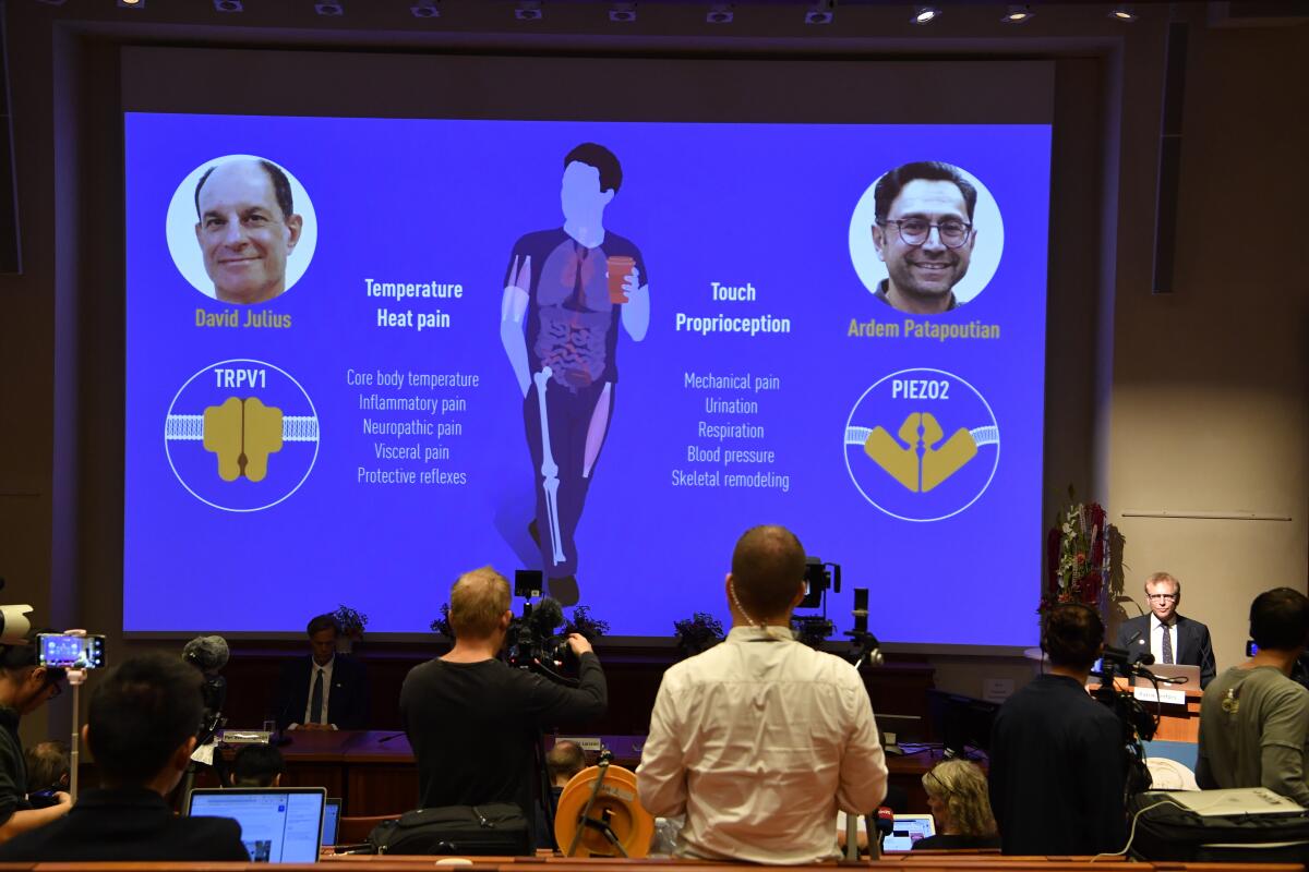 Screen showing Nobel Prize winners