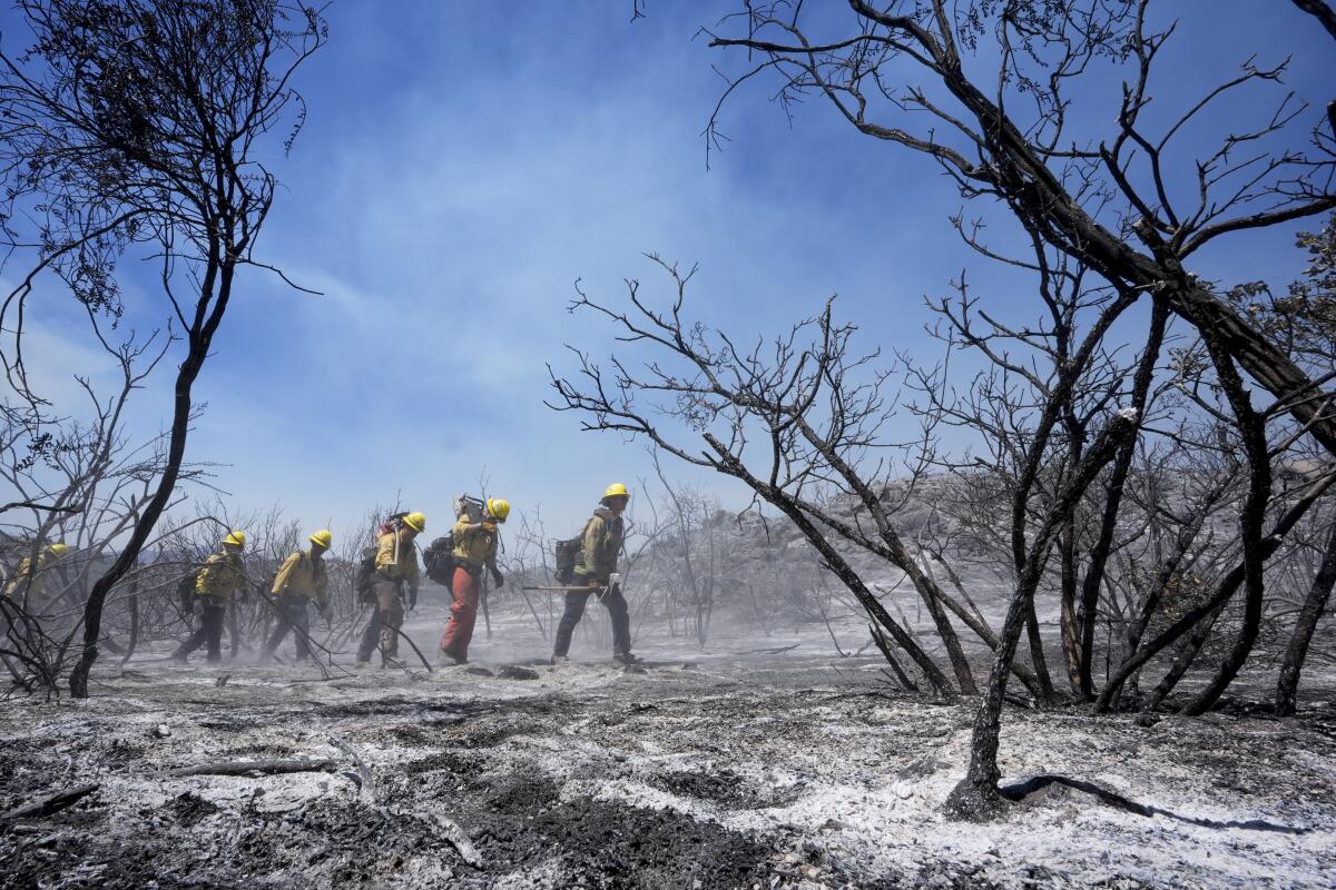 Miembros del departamento de bomberos del condado Riverside buscan zonas con fuego