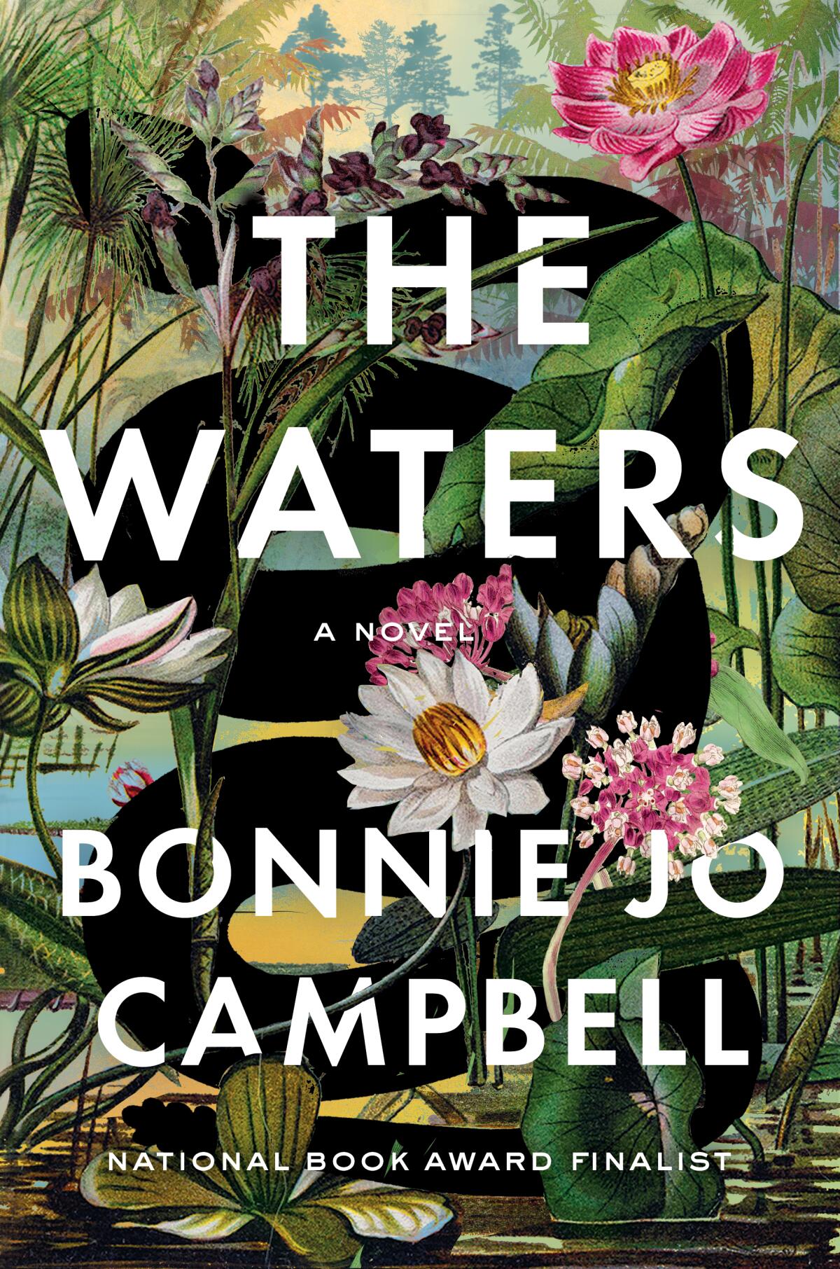 "The Waters," by Bonnie Jo Campbell