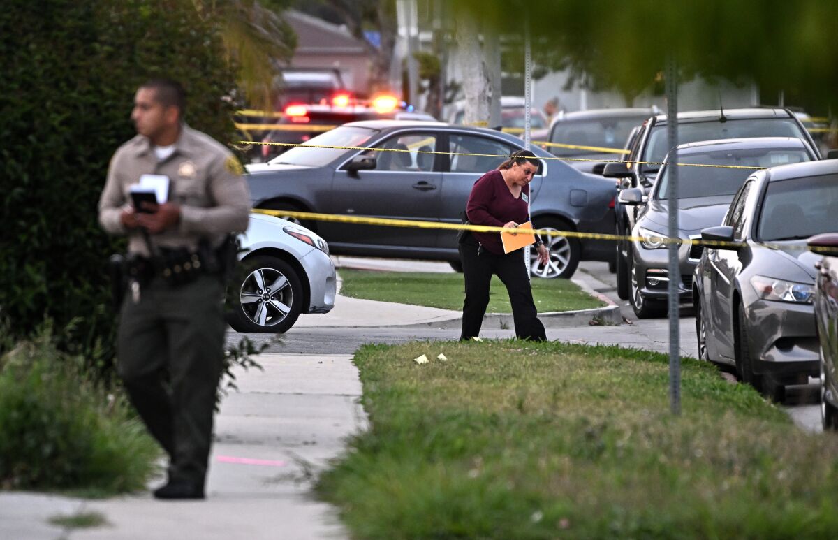 Law enforcement investigators comb the scene of a shooting