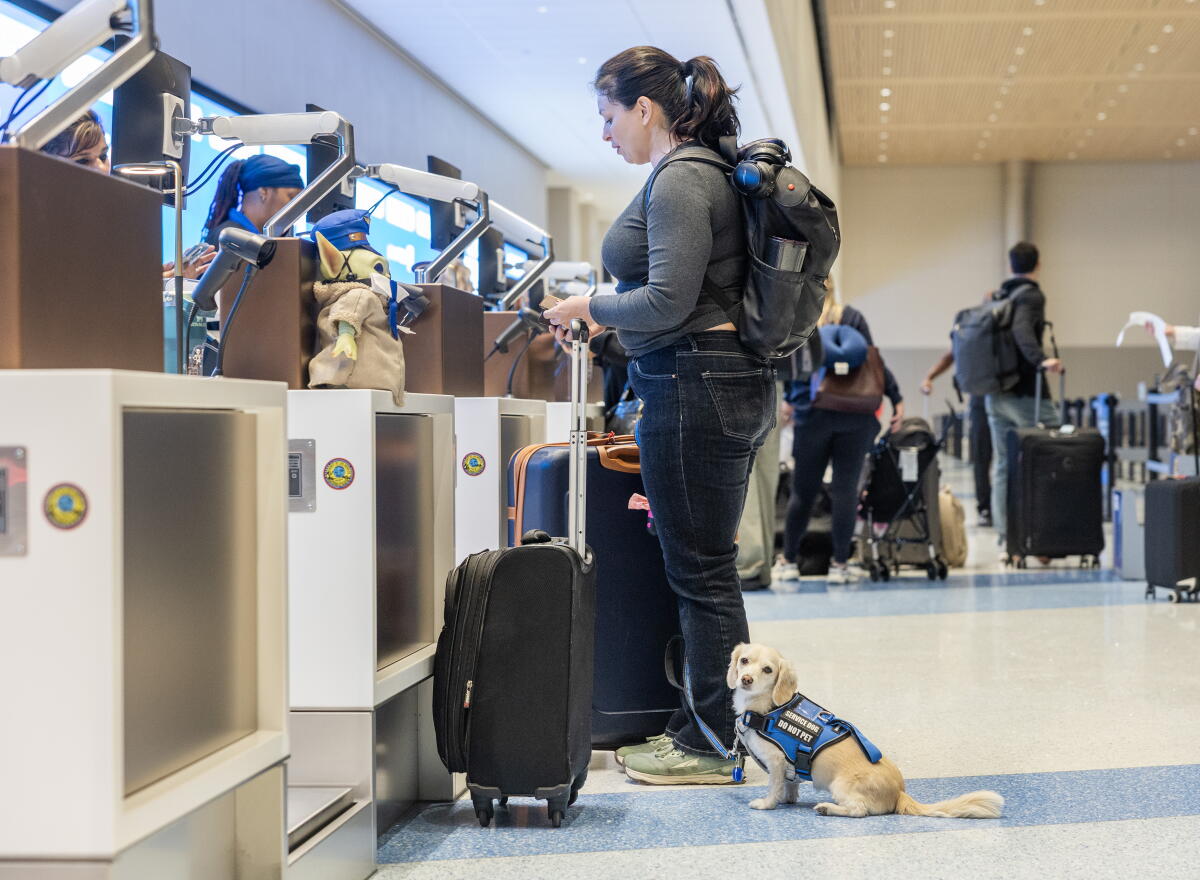A woman's canine sits adjacent to her arsenic she checks successful astatine the airport.