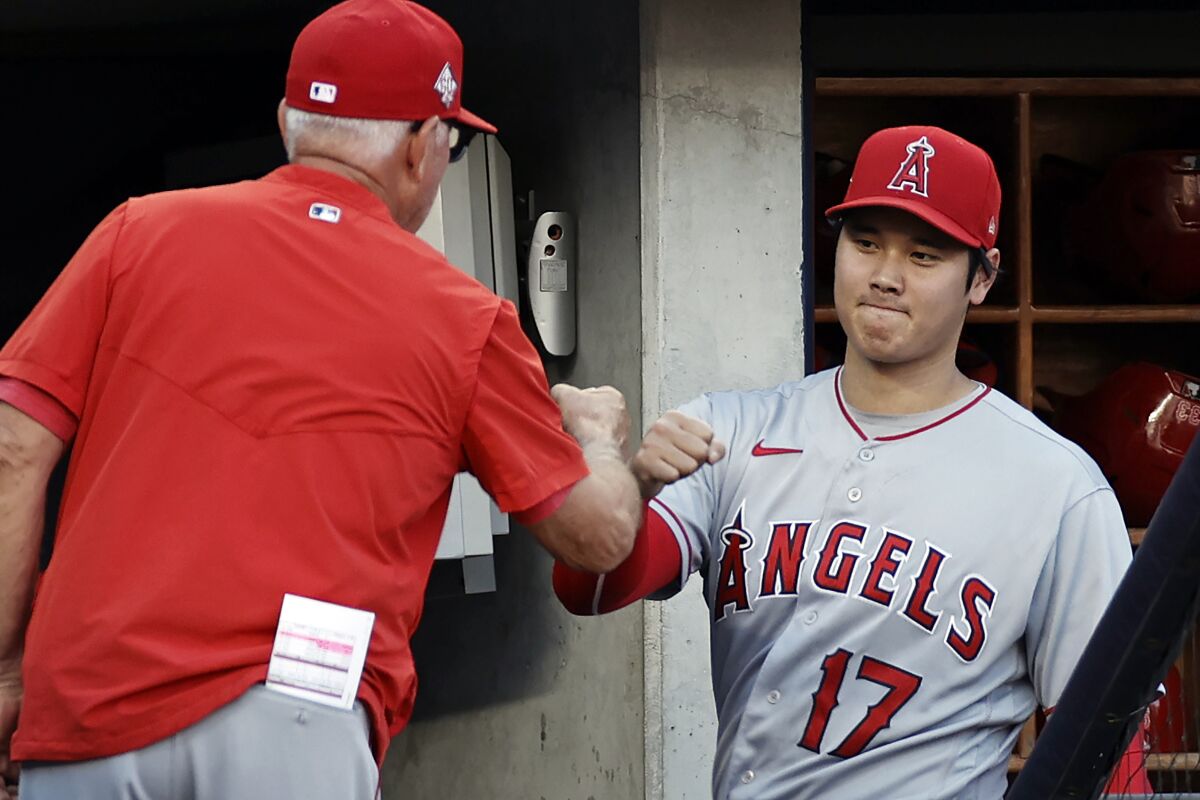 Los Angeles Angels' Shohei Ohtani fist-bumps manager Joe Maddon in the dugout before the team's baseball game against the New York Yankees on Wednesday, June 30, 2021, in New York. (AP Photo/Adam Hunger)