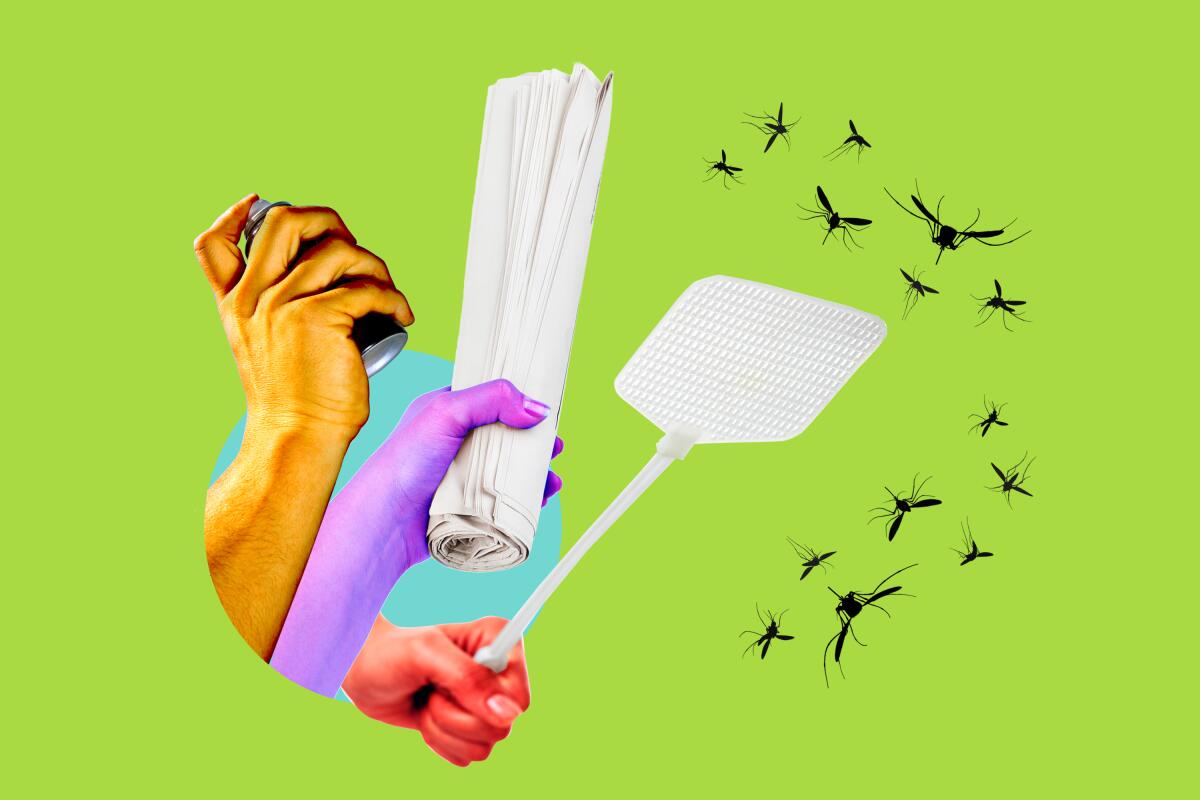 12 Ways to Get Rid of Gnats in Your Home and Garden