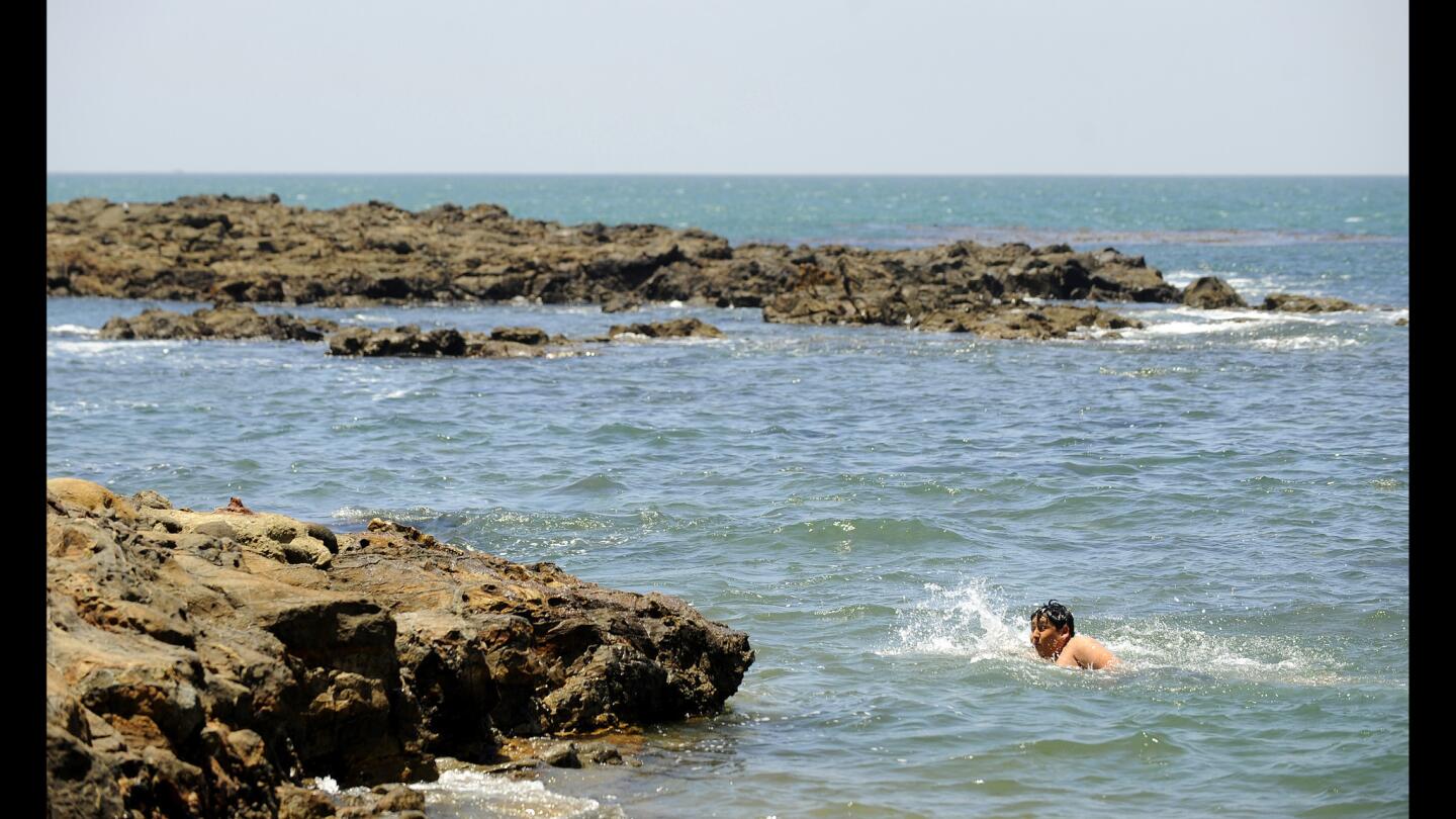 L.A. Walks: Abalone Cove Trail on Palos Verdes