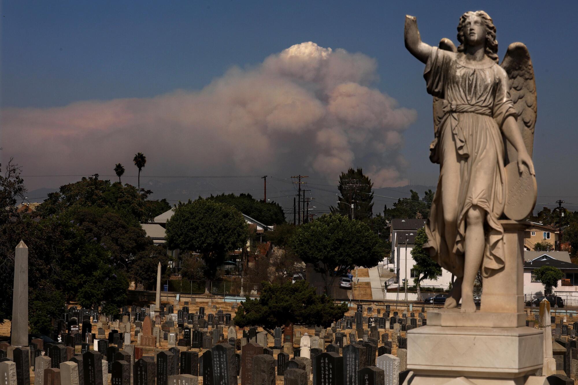 LBSU has Devil of a time – San Gabriel Valley Tribune