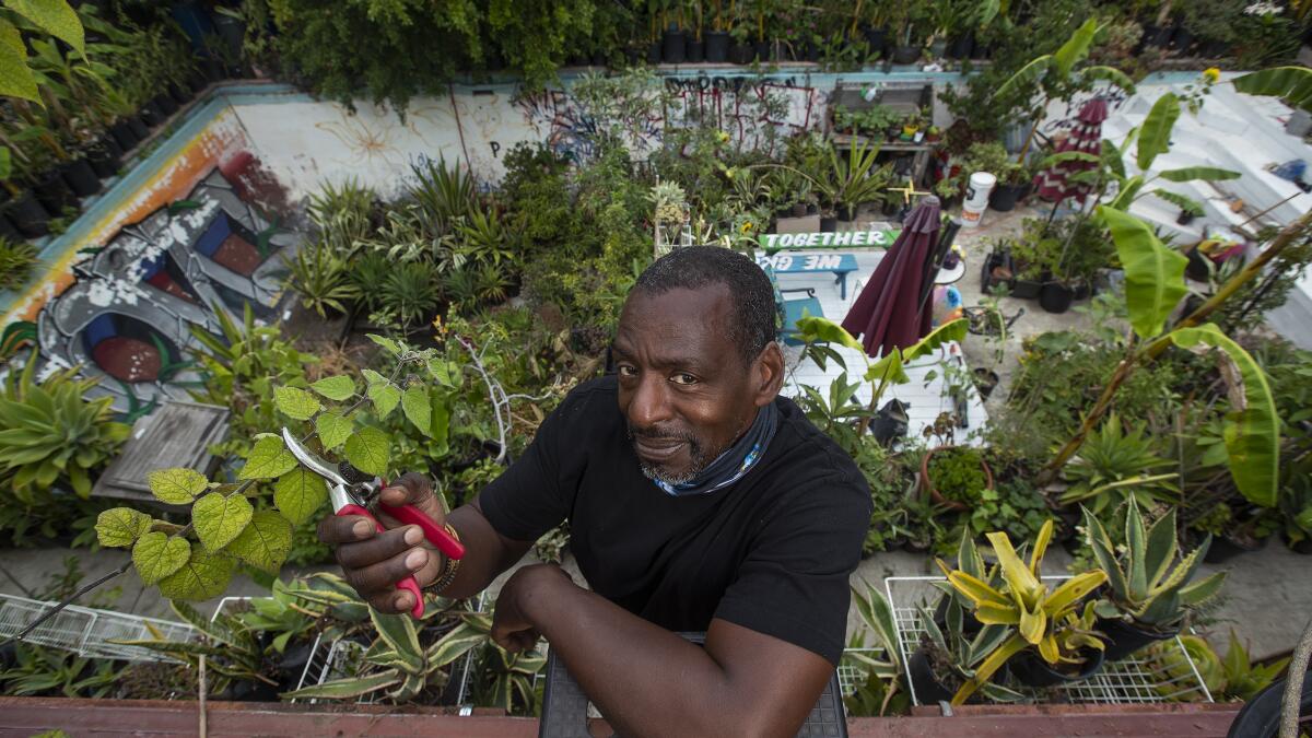Gangsta Gardener Ron Finley swears by growing your own food - Los