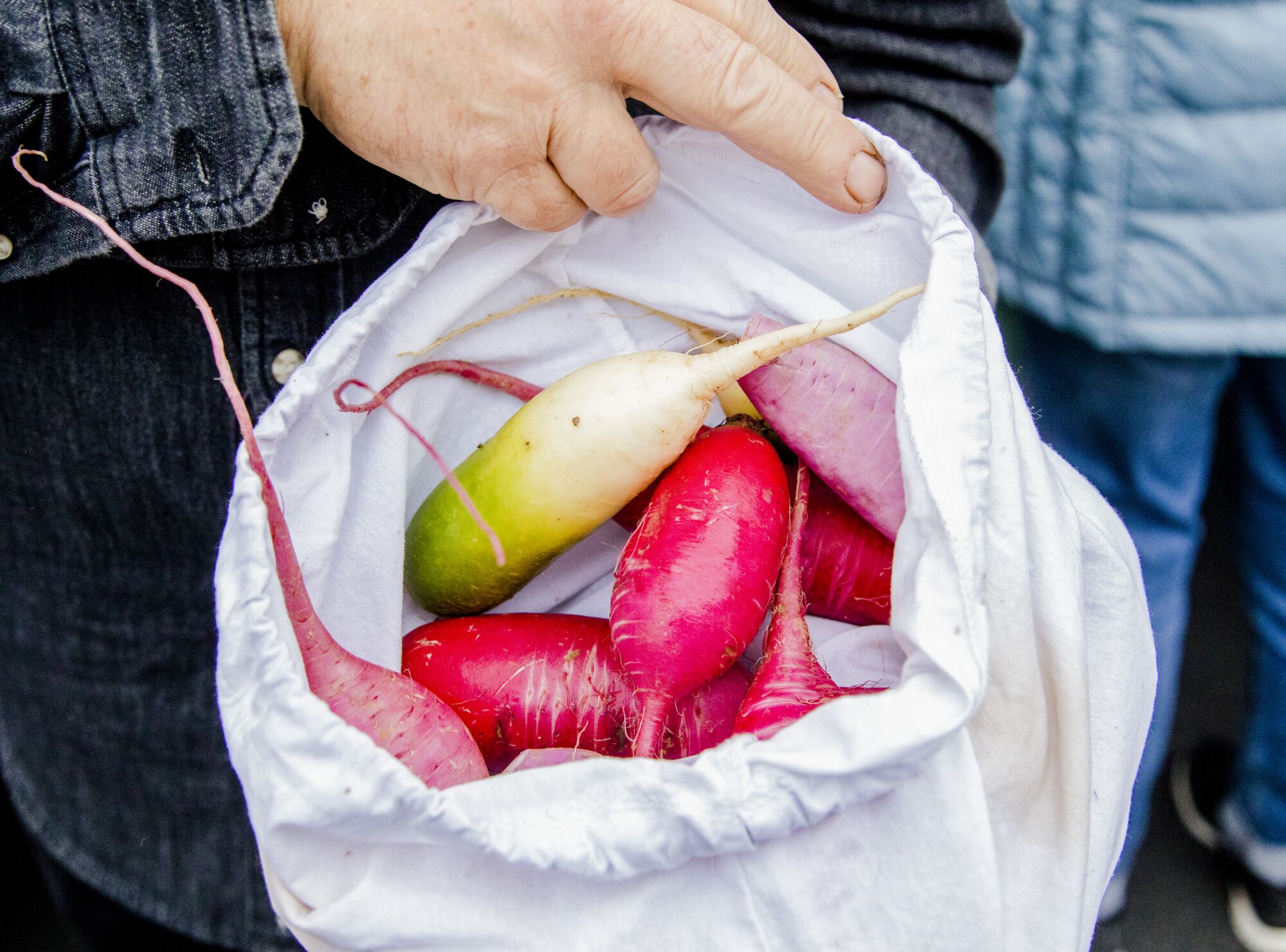 A cloth bag full of radishes