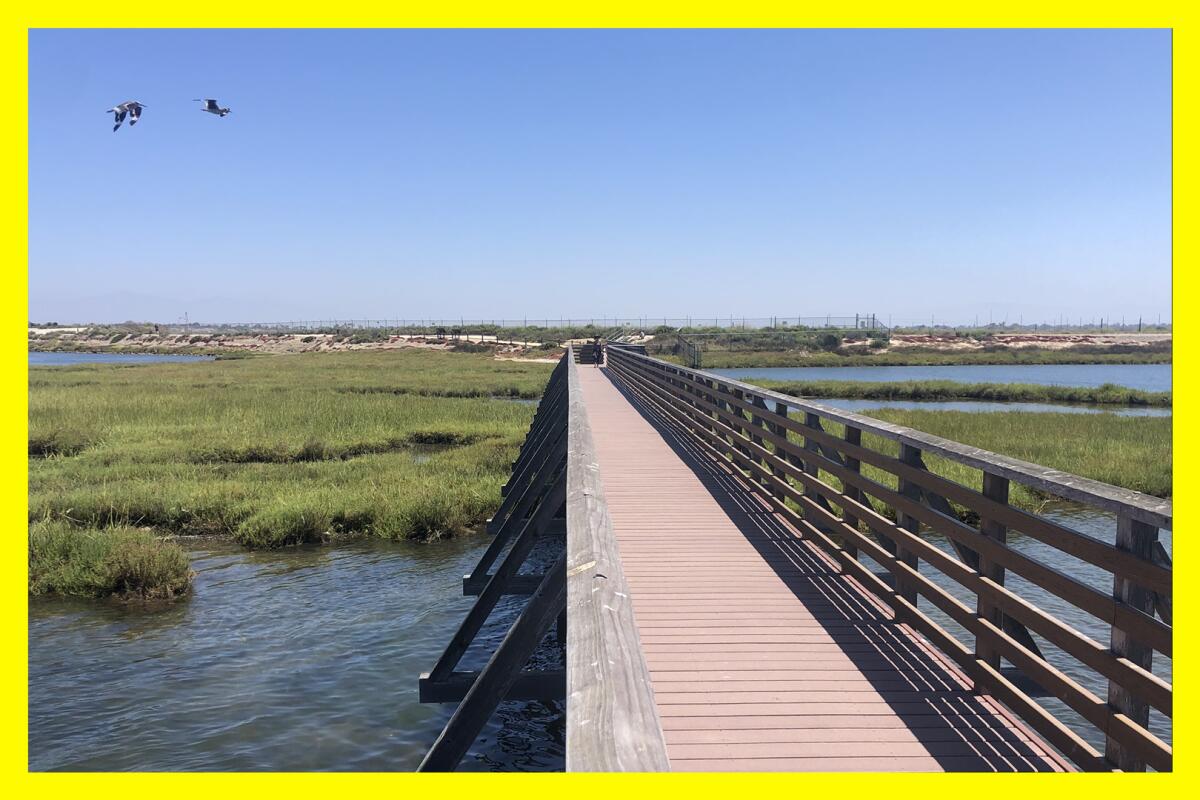 A boardwalk with a railing on one side extends over a river and marshy area