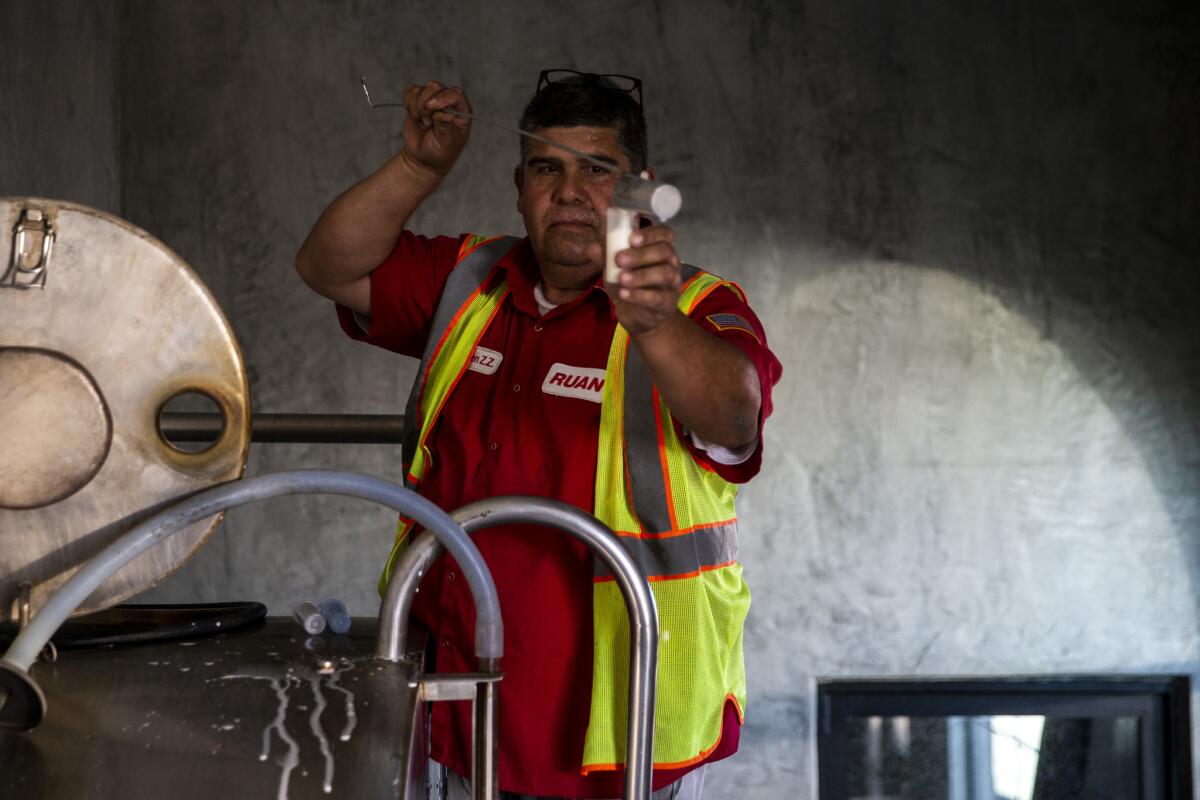 Truck driver Ben Zamarripa takes samples from the milk holding tank at Robert Gioletti & Sons Dairy in Turlock.