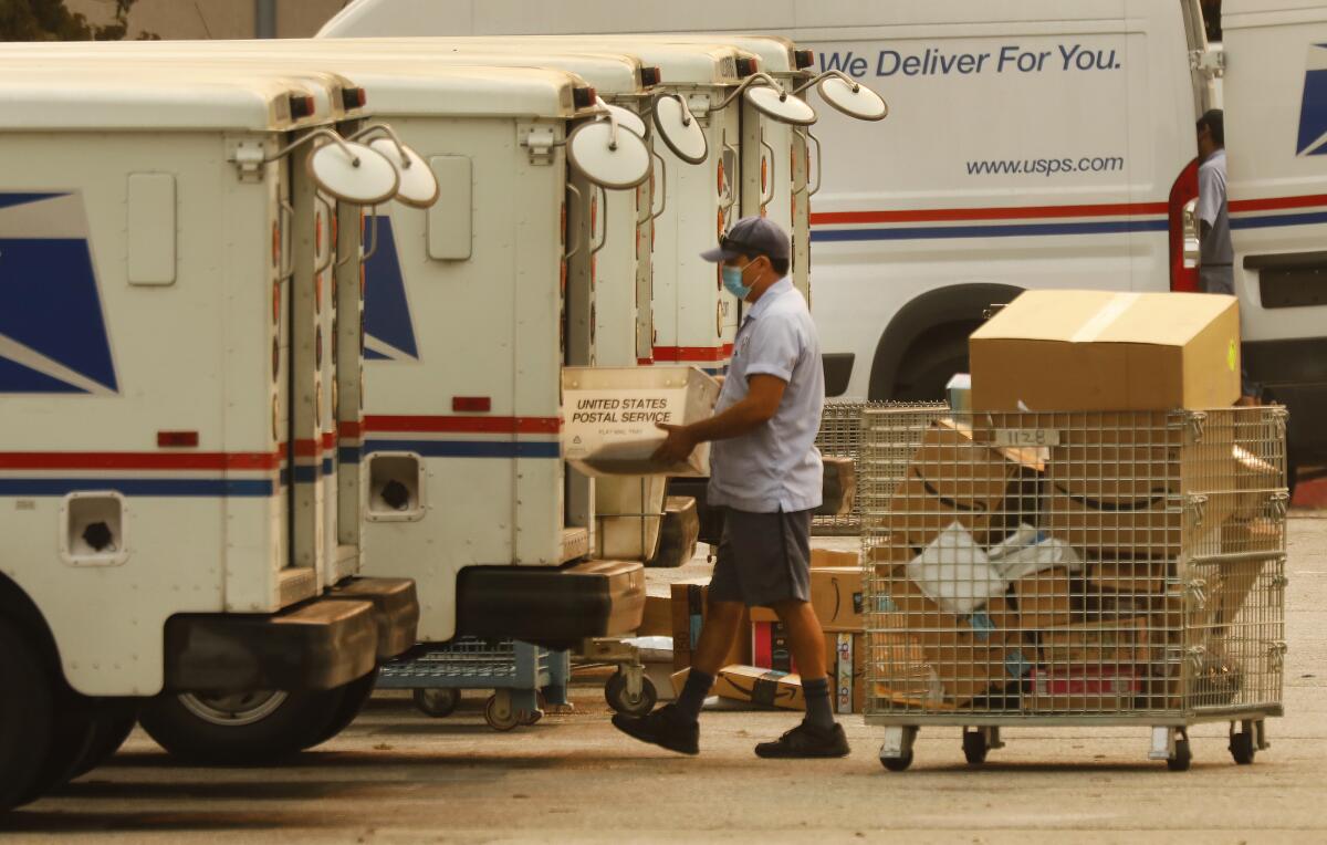 A mail carrier carrying a container of mail from a large wire cart full of boxes to one of several parked mail trucks