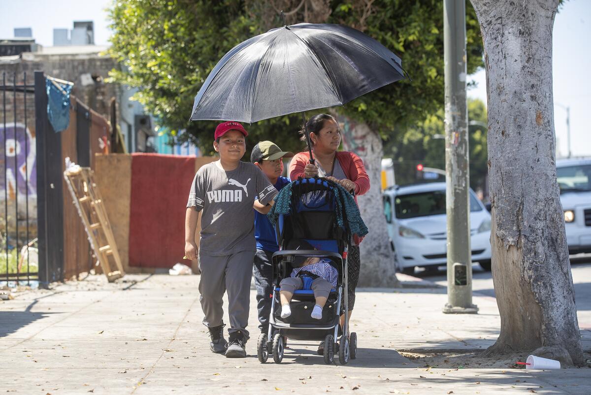 Two young boys walk alongside a woman who is pushing a stroller, while they all huddle under a large umbrella on a sunny day