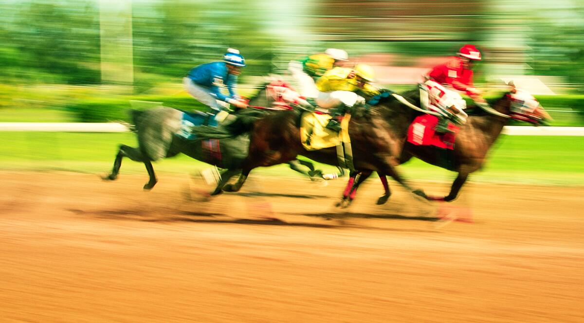 “These medications [bisphosphonates] keep me awake at night,” said Dr. Dionne Benson, chief veterinary officer of the Stronach Group.