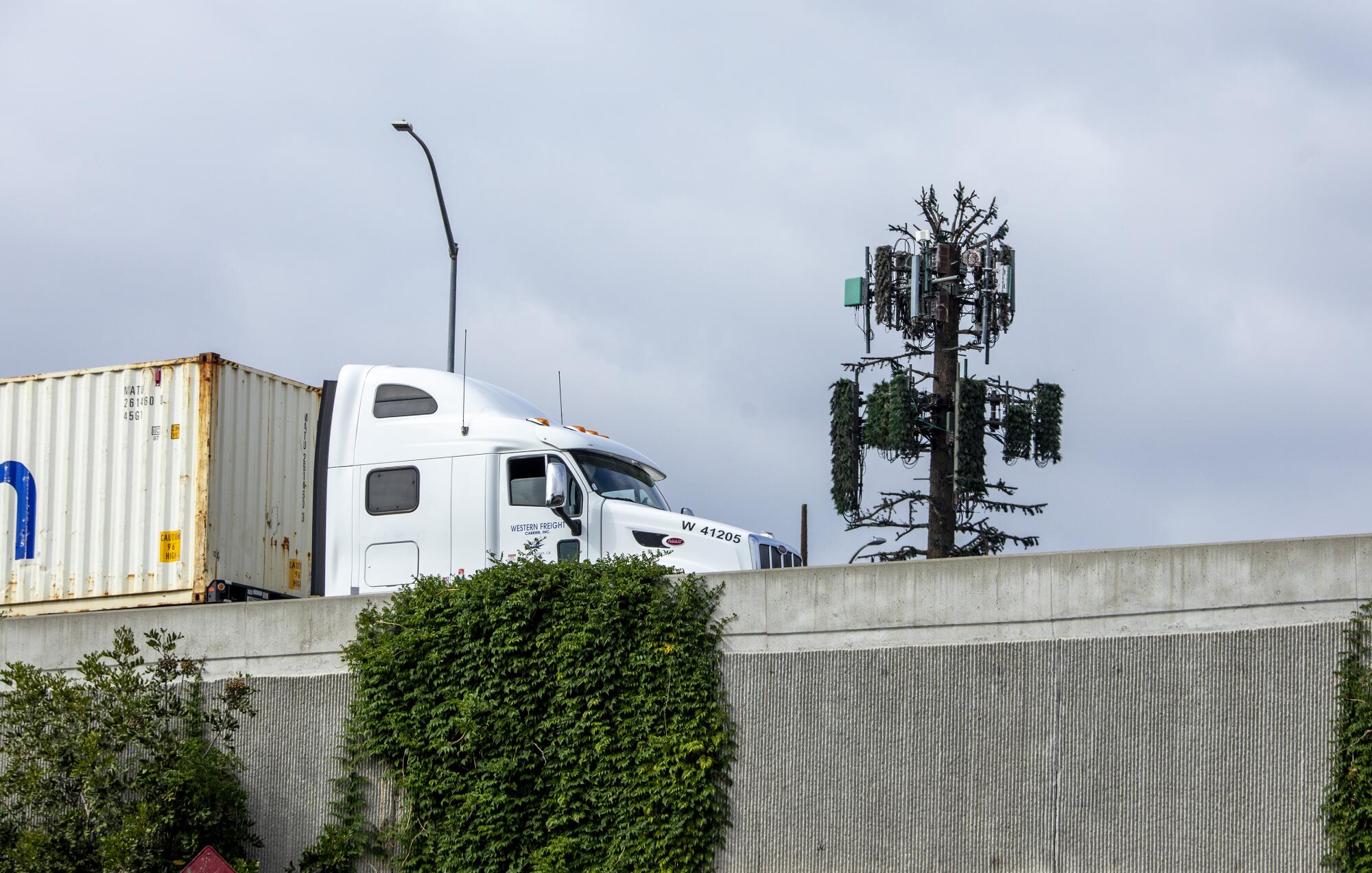 An image of a cell tower disguised as a pine tree near the 110 Freeway.