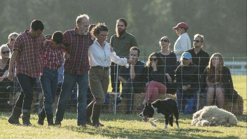 Ryan Tacata, Imre Hunter-To, Peter Schmitz and Diane Cox perform with a border collie in "Doggie Hamlet" on Saturday on the polo field at Will Rogers State Historic Park in Pacific Palisades.