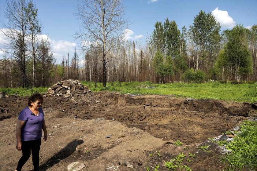 Carrol Johnston passes an indentation where her home stood before a May wildfire destroyed it in the East Prairie Metis Settlement, Alberta, on Tuesday, July 4, 2023. Johnston, who has been living in a nearby town, is awaiting a modular home so she can return to the land. (AP Photo/Noah Berger)