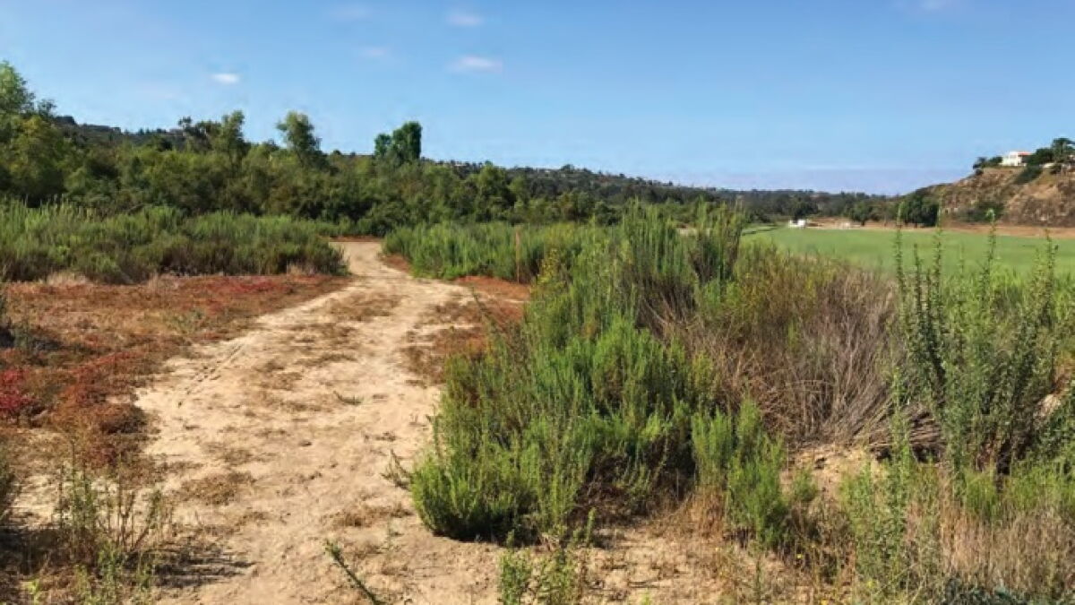 New Coast to Crest trail segment under environmental review - Vimarsana News