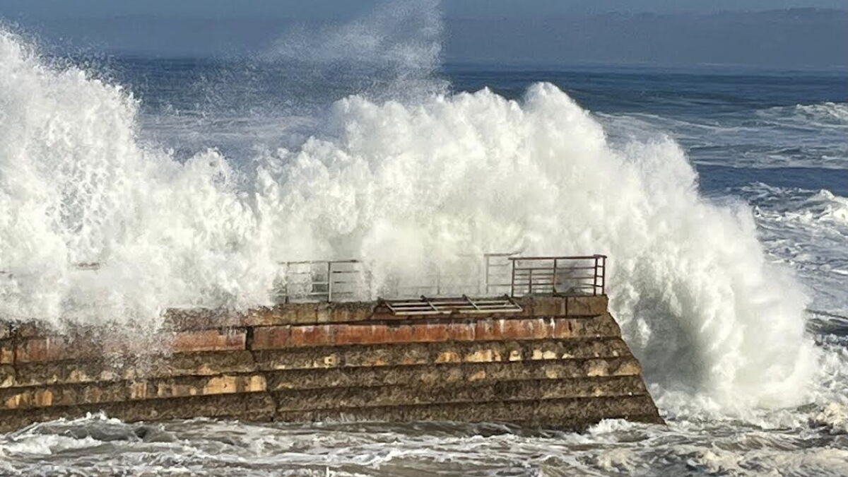 How will La Jolla fare in the next El Niño? Infrastructure, sea lions and more may be impacted by storms - Vimarsana News