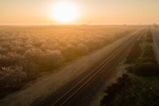 The sun rises on the Golden State Highway just south of Fresno. Here, a ruby Republican heart beats in sapphire blue California, or as one KMJ promotion puts it, a hub for “rational thinking in an irrational state.” That heart has missed a few beats in recent years as new voters, particularly Latinos, lean more liberal. But the Republican pulse keeps beating, even as Democrats dominate the state government and prepare for a March 3 primary election that will give them a larger say in their party’s presidential nominating contest. Up the backbone of California, north of Bakersfield, the billboards that dot state Route 99 speak volumes. “Jesus is Lord,” says more than one. “Dam Water Grows Food” proclaim several others. A picture of a mother and infant dominates another towering sign, which declares “Pro Woman, Pro Baby, Pro Life.”