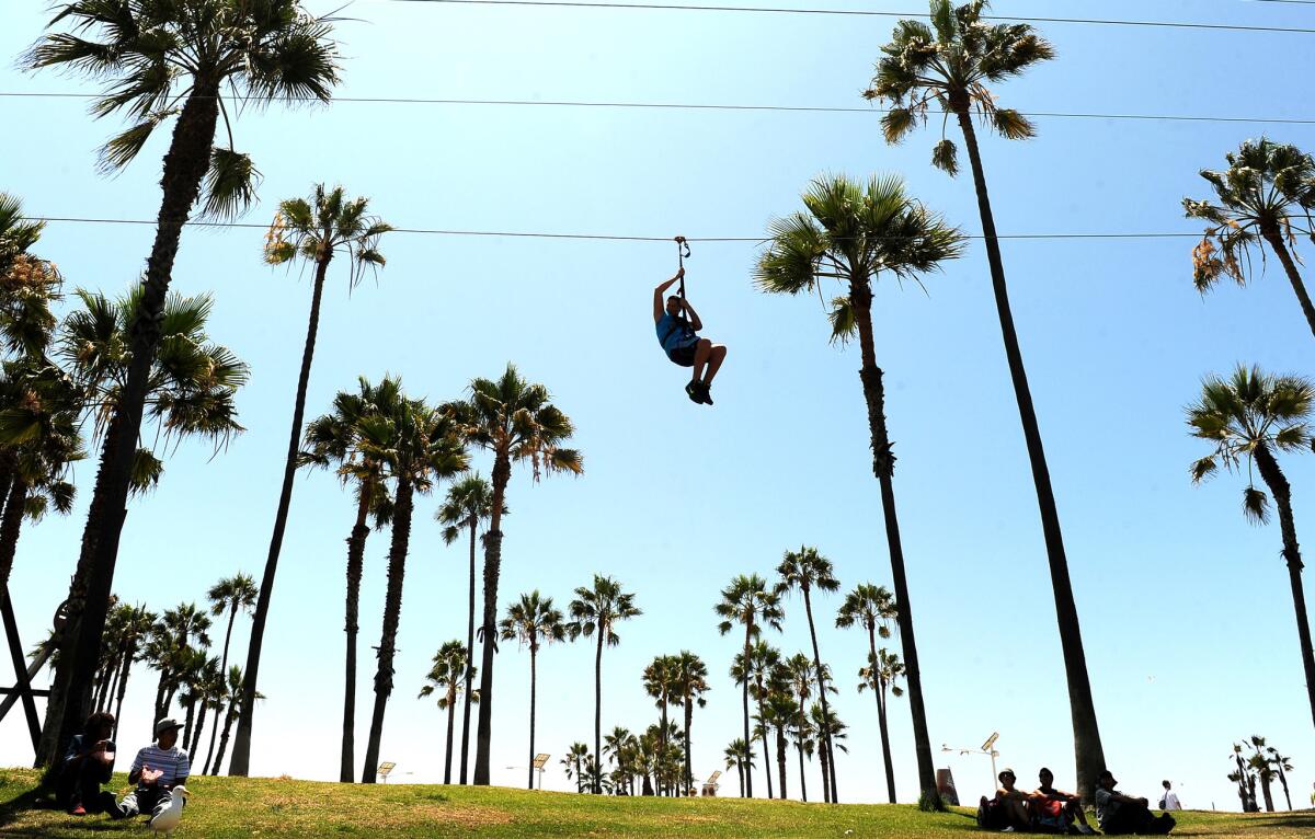 A man rides down a zip line in Venice on a warm Friday afternoon.