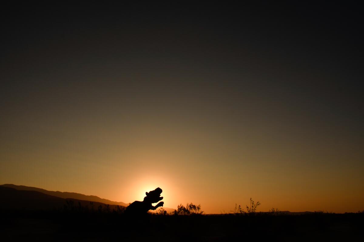 The sunrise silhouettes in the distance a shape that looks like the head and arms of a T-rex.