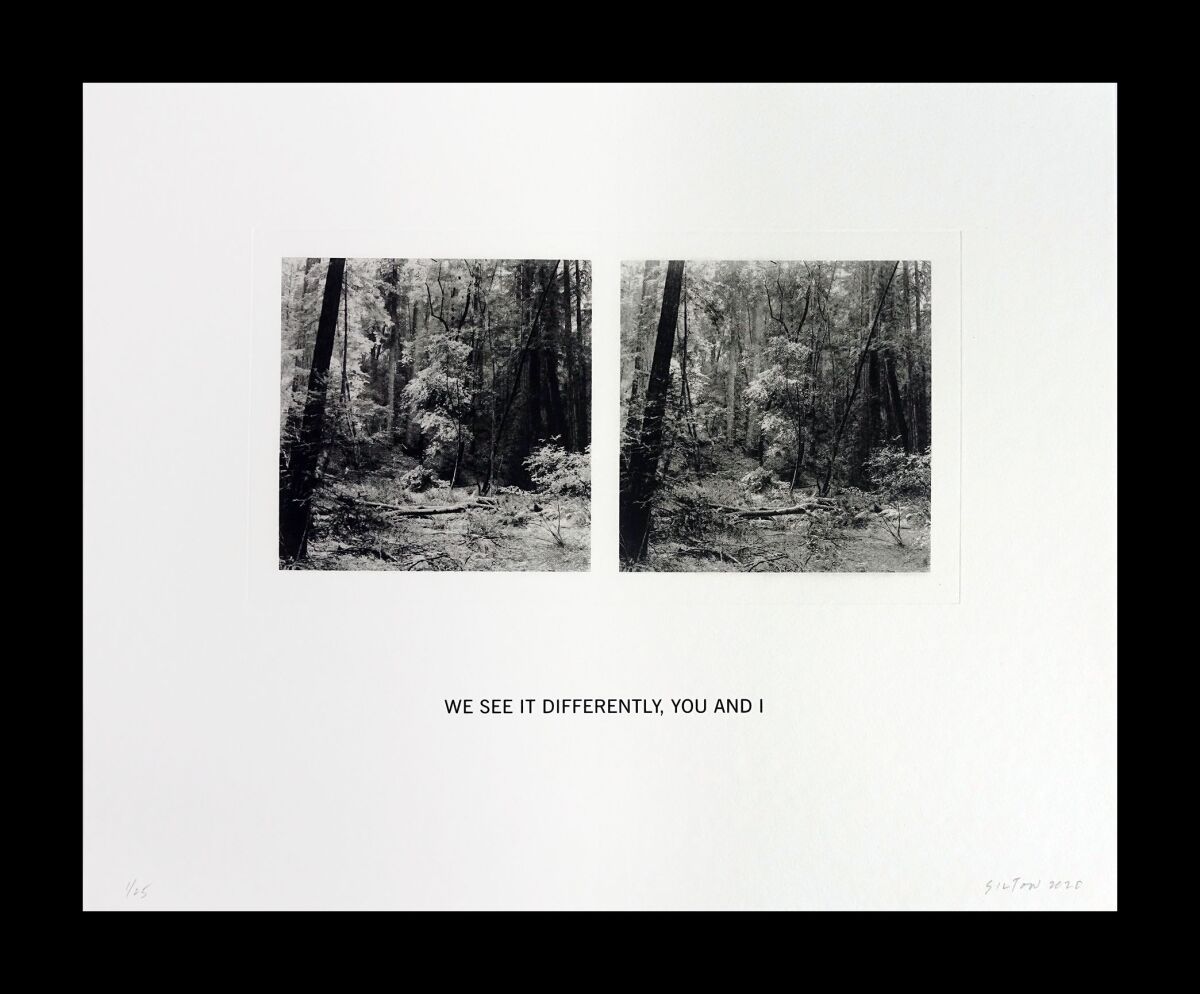 A white paper shows two printed images of trees side by side, above the phrase "We See It Differently, You and I"