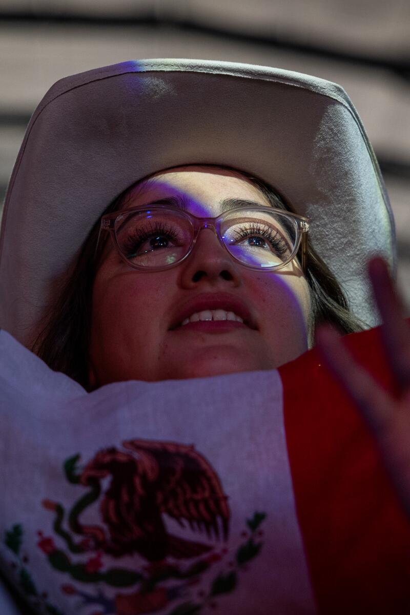 A fan holds a Mexican flag while watching Mexican musical artist Carin León.