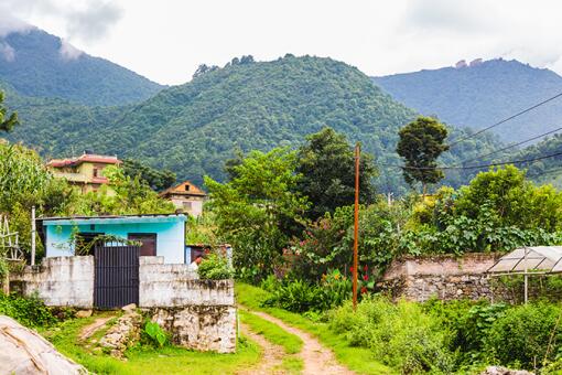 A photo of beautiful green scenery of Nepal in summer.