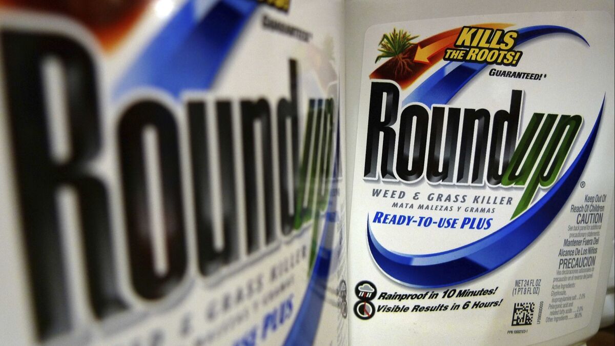 Bottles of Roundup herbicide, a product of Monsanto, are displayed on a store shelf in St. Louis. A Northern California judge has upheld a jury's verdict finding Monsanto's weed killer caused a groundskeeper's cancer, but slashed his $287-million award to $78 million.