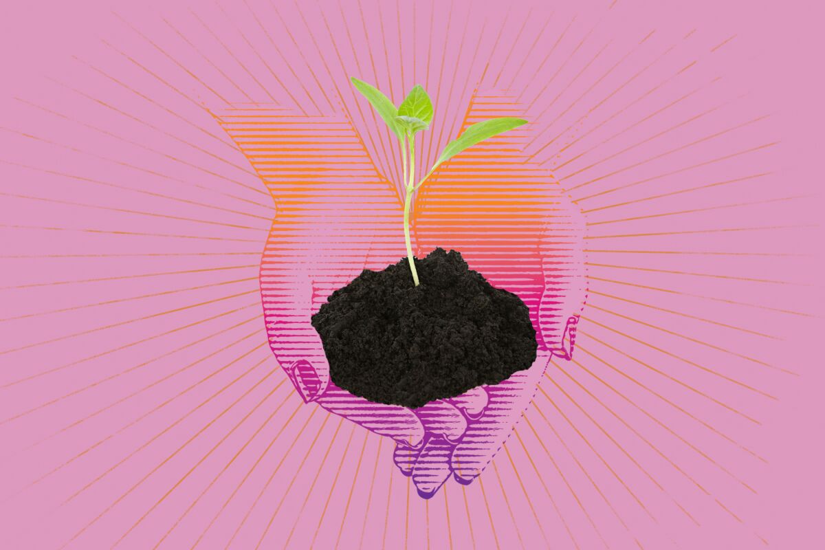 Illustration of two hands cupped around a mound of dirt, and a seedling rising out of it.