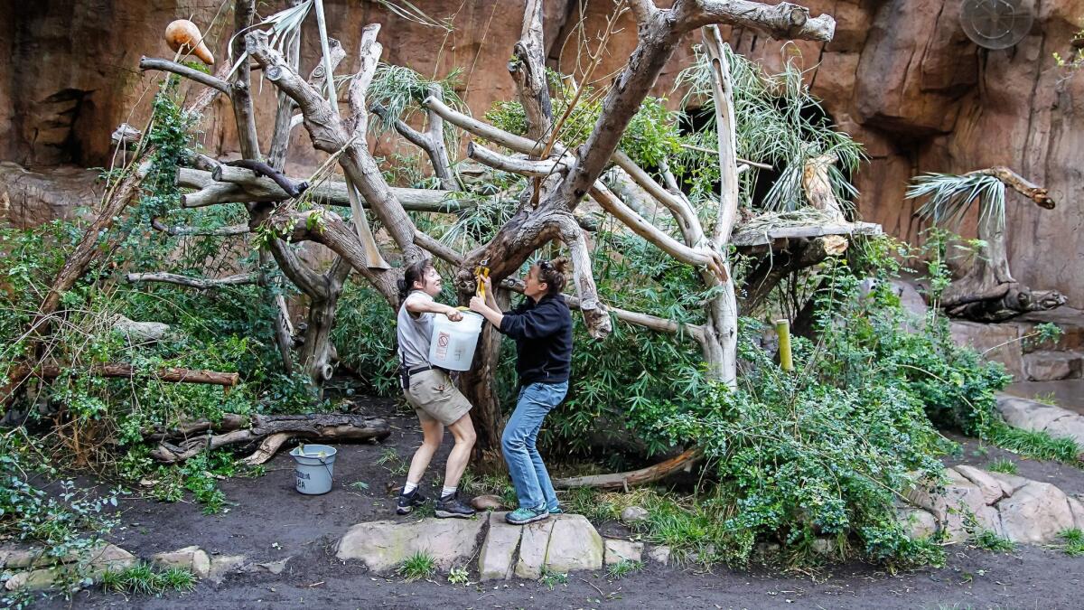 San Diego Zoo prepares to open state-of-the-art interactive