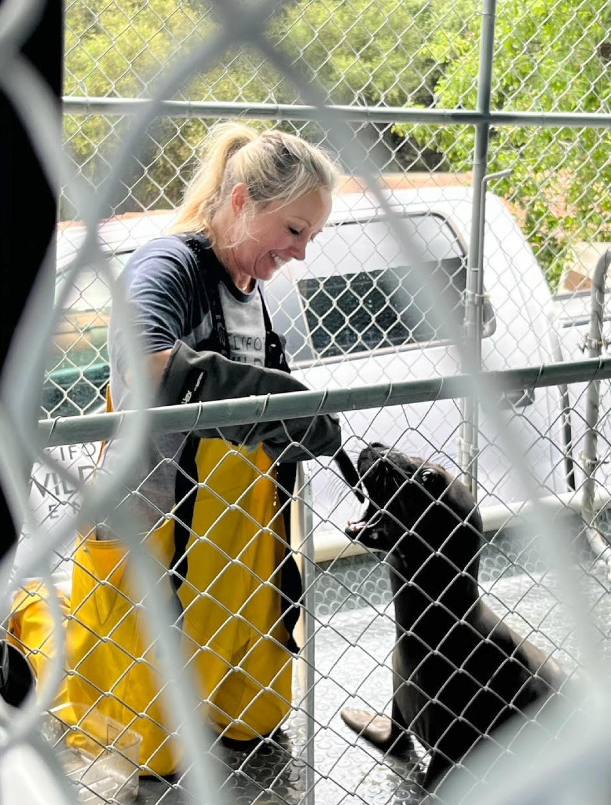 Tara Ellison volunteering at California Wildlife Center. 