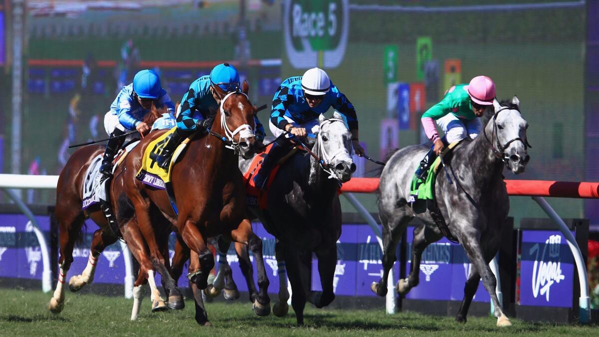 Stormy Liberal (4), ridden by Joel Rosario, wins the Breeders' Cup Turf Sprint ahead of Richard's Boy (7) ridden by Flavien Prat and Disco Partner (1), ridden by Irad Ortiz Jr. at Del Mar Race Track.