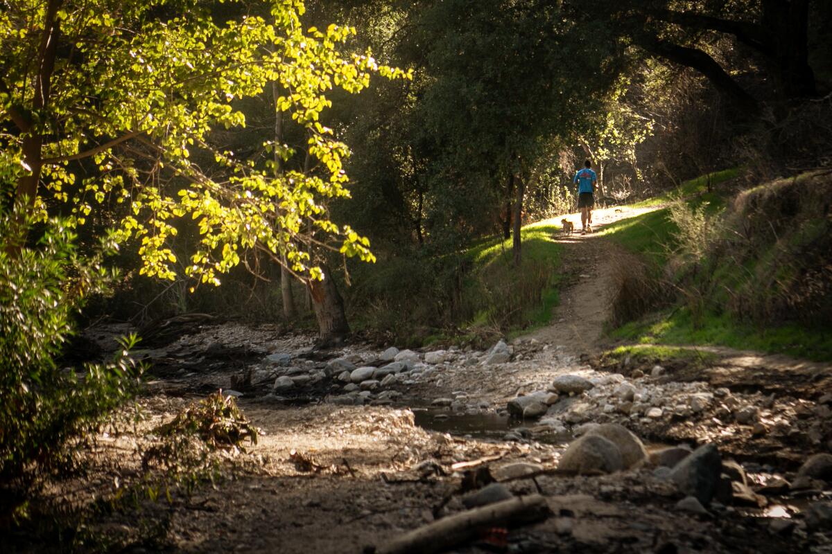 L.A. Walks Brookside path