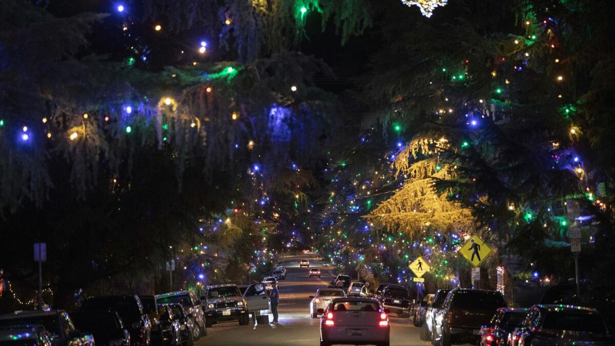 Motorists cruise Santa Rosa Avenue, better known as Christmas Tree Lane, in Altadena in 2018.