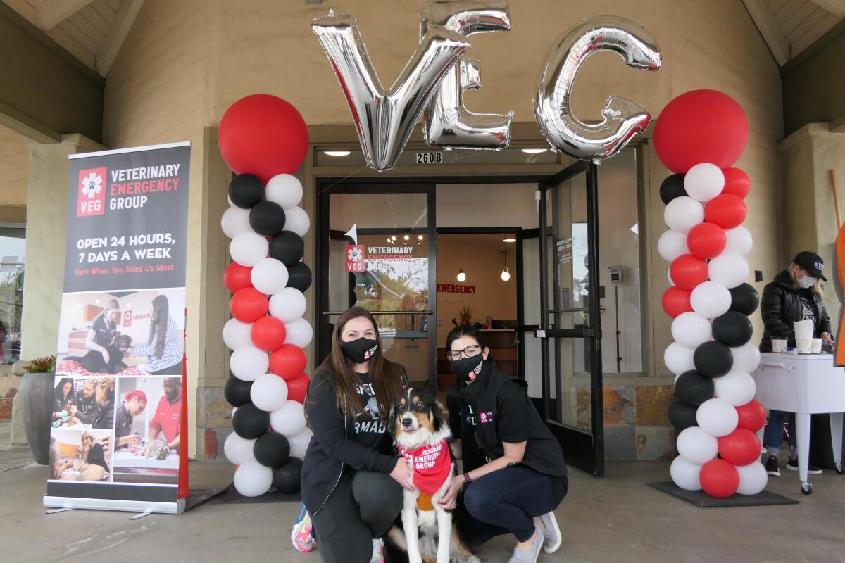 VEG Encinitas hospital manager Becky Kobari and Dr. Samantha Kent, medical director at VEG Encinitas with Erasmus.