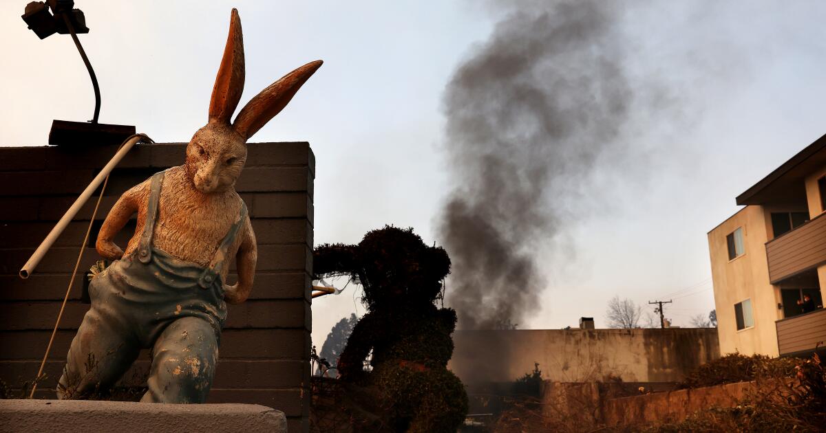 “From Ashes to Rebirth: The Unbreakable Spirit of the Rabbit Museum” “From Ashes to Rebirth: The Unbreakable Spirit of the Rabbit Museum”