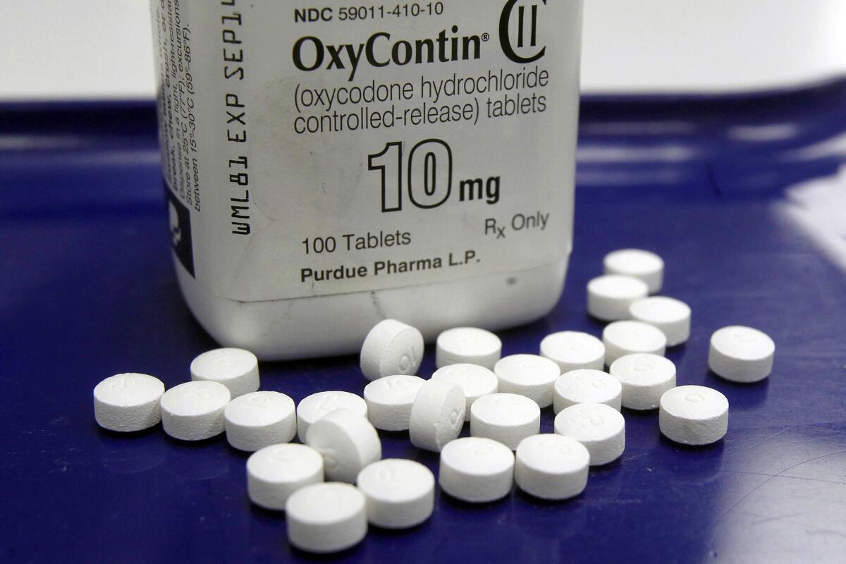 This Feb. 19, 2013 file photo shows OxyContin pills arranged for a photo.