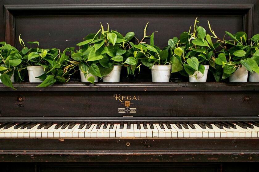 FULLERTON, CA - JULY 20: A old piano serves as a plant stand at The Green Place plant shop on Wednesday, July 20, 2022 in Fullerton, CA. (Jason Armond / Los Angeles Times)
