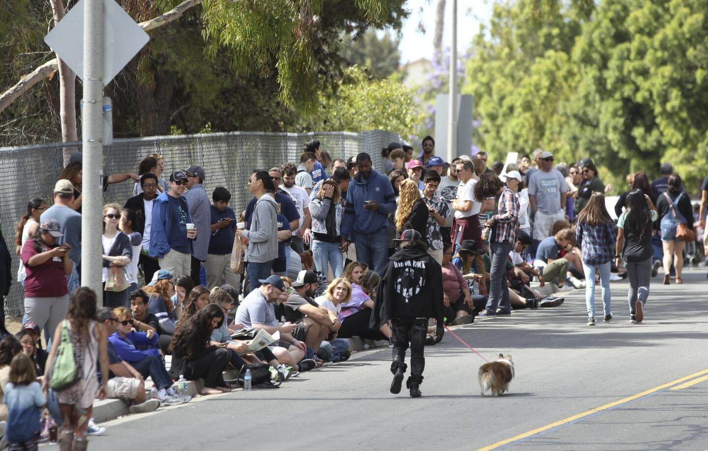 Thousands of people line up along Longhorn Drive as the wait to see Democratic presidential candidate Bernie Sanders speak at Rancho Buena Vista High School in Vista.