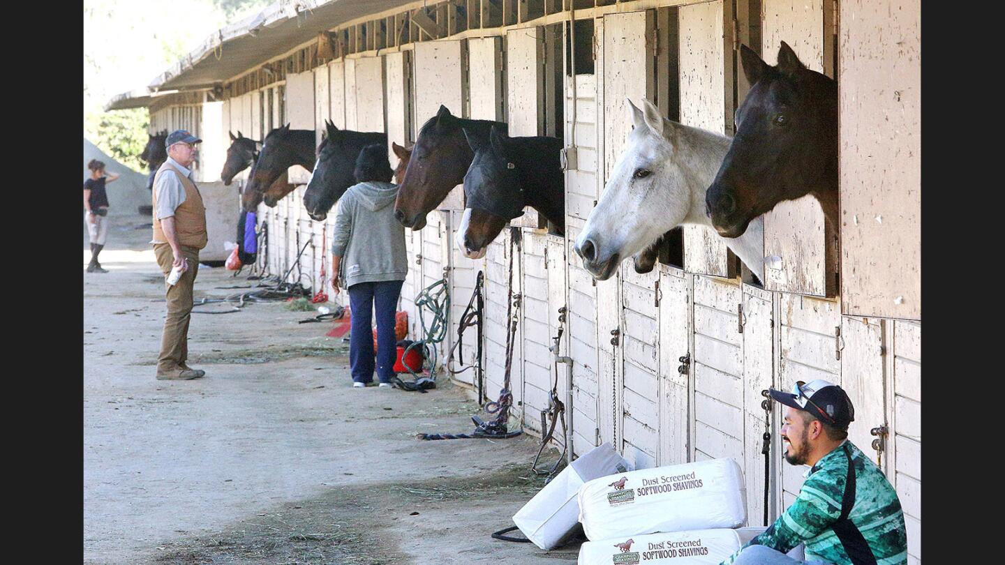 A long line of horses, in stalls that would otherwise be empty, at the Los Angeles Equestrian Center in Burbank on Thursday, December 7, 2017. Horse owners in the area of the Creek Fire in Sylmar and Sunland beat rapidly approaching fire on Tuesday by safely evacuating their own and hundreds of other horses and large animals. The equestrian center has over 400 horses taking temporary residence.