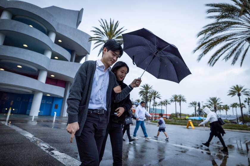 Long Beach, CA - March 06: People cross the street amid wind and rain as they visit the Aquarium of The Pacific in Long Beach Wednesday, March 6, 2024. (Allen J. Schaben / Los Angeles Times)